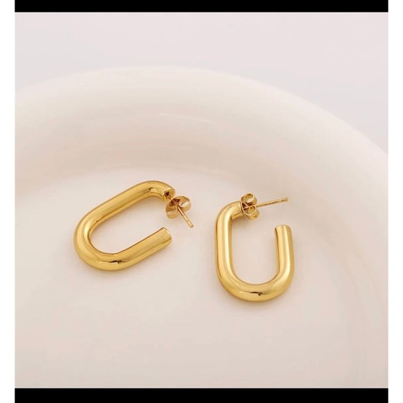 Round Planting Stainless Steel 18K gold plated Hoop Earrings - Picture 2 of 6